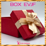 La Box EVJF Keur Debbo